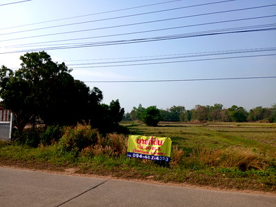 ที่ดิน น้ำพอง ขอนแก่น : ขายที่ดิน 1ไร่ ใกล้ที่ว่าการ อ.น้ำพอง_350เมตร