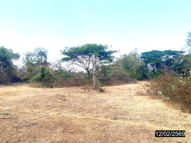รูป ฟาร์ม 12206 ตร.วา บ้านด่านลานหอย สุโขทัย 9.3M - รูปที่ 5/20