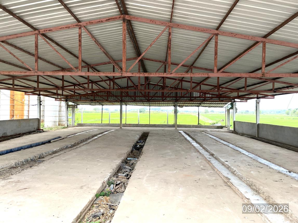 picture LAND 6259 Sq.w. Muang Phichit Phichit for 989,000 - 21/32