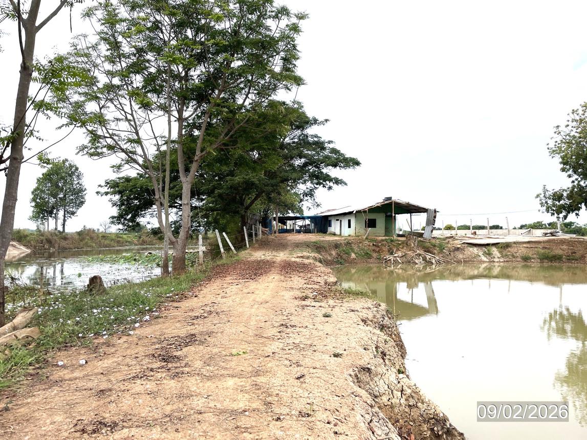 picture LAND 6259 Sq.w. Muang Phichit Phichit for 989,000 - 16/32