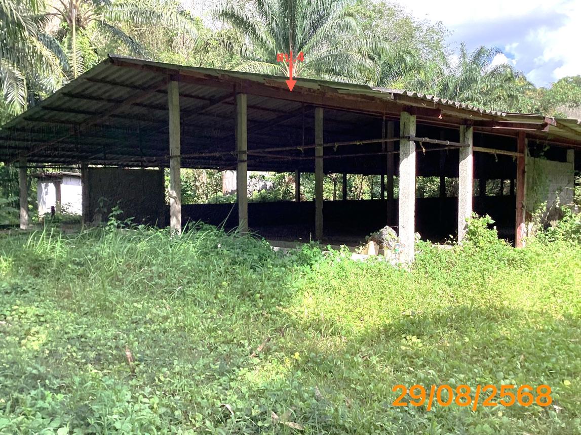 picture LAND 2165 Sq.w. Kapong Phangnga for 4M - 24/36