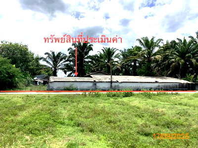 ที่ดิน นครศรีธรรมราช : ฟาร์ม 2259.1 ตร.วา เฉลิมพระเกียรติ นครศรีธรรมราช 5.6M