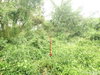 listing thumbnail image 25