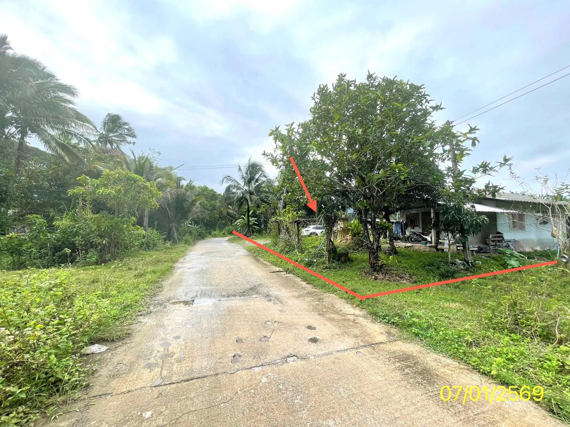 รูป ฟาร์ม 1603 ตร.วา เมืองพัทลุง พัทลุง 7M - รูปที่ 20/24