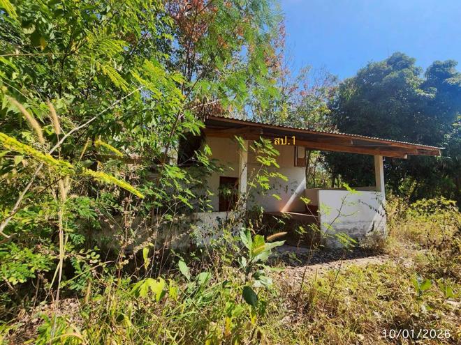 รูป บ้านเดี่ยว 1207 ตร.วา นามน กาฬสินธุ์ 2.4M - รูปที่ 2/24