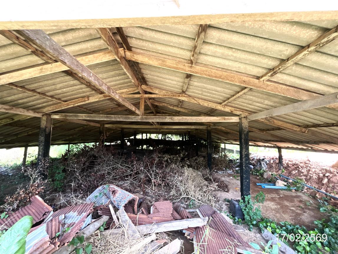 picture FACTORY 3056 Sq.w. Chaiya Surat Thani for 2.1M - 13/20