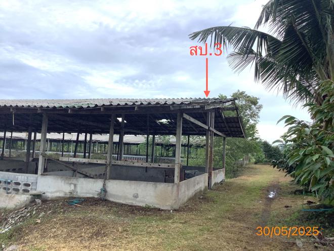 picture LAND 3649 Sq.w. Chalermphrakiet Nakhon Sri Thammarat for 9.9M - 9/38