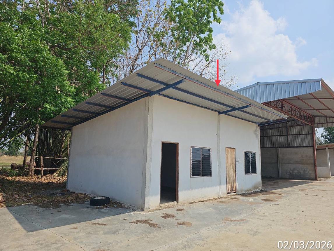 รูป โกดัง 7437 ตร.วา ดงเจริญ พิจิตร 11.6M - รูปที่ 42/50