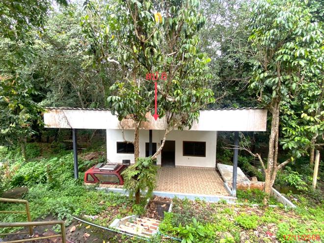 รูป บ้านเดี่ยว 357 ตร.วา นาหม่อม สงขลา 3.9M - รูปที่ 19/44
