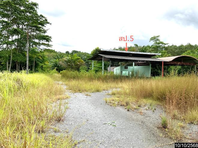 รูป บ้านเดี่ยว 3646 ตร.วา ทุ่งสง นครศรีธรรมราช 12M - รูปที่ 8/38