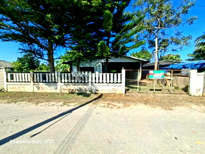 บ้านเดี่ยว เชียงราย : บ้านเดี่ยว 105 ตร.วา แม่จัน เชียงราย 1.5M