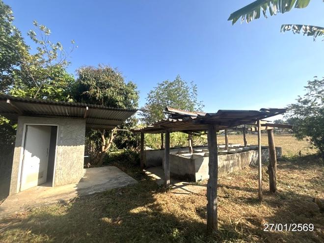 รูป บ้านเดี่ยว 235 ตร.วา ลำปลายมาศ บุรีรัมย์ 2.1M - รูปที่ 21/46