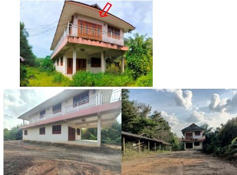รูป ที่ดินพร้อมสิ่งปลูกสร้าง 900.9 ตร.วา อำเภอเวียงสระ สุราษฎร์ธานี 4.8M - รูปที่ 5/14