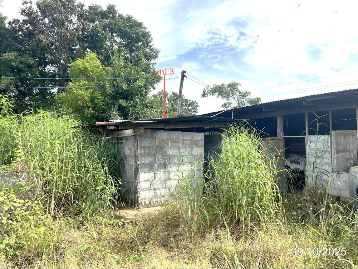 picture HOME 600 Sq.w. Tak Fa Nakhon Sawan for 709,000 - 13/20