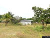 listing thumbnail image 41