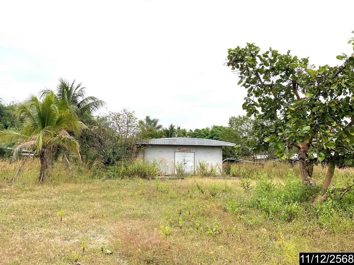 รูป ฟาร์ม 23802 ตร.วา หนองวัวซอ อุดรธานี 36.6M - รูปที่ 42/50
