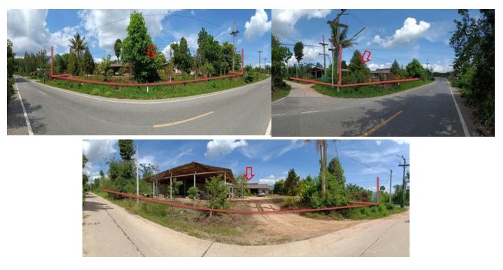 picture LAND 2454.6 Sq.w. Khiri Ratthanikhom Surat Thani for 1.8M - 3/9