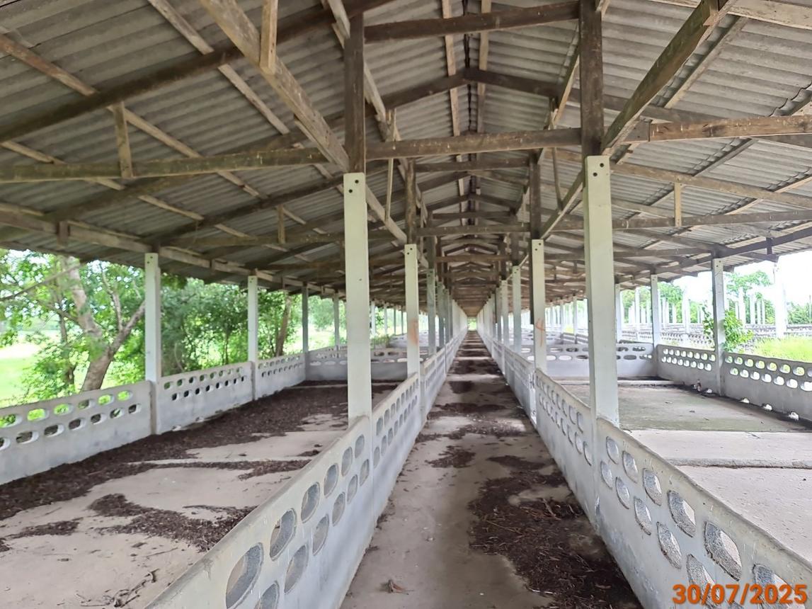 รูป ฟาร์ม 3846 ตร.วา กระสัง บุรีรัมย์ 4.7M - รูปที่ 21/34
