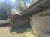 listing thumbnail image 24