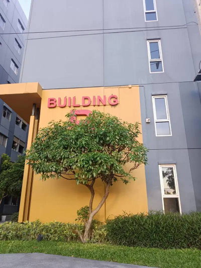 picture Condo for rent The Point Condo Laemchabang - 11/11