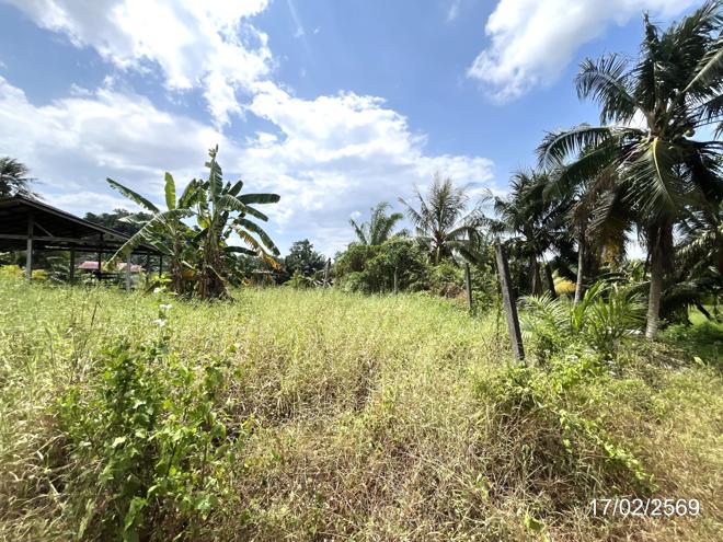 picture FACTORY 3056 Sq.w. Chaiya Surat Thani for 2.1M - 7/20