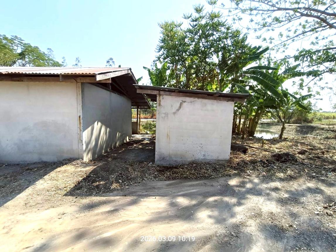 รูป บ้านเดี่ยว 13450 ตร.วา สระโบสถ์ ลพบุรี 12.2M - รูปที่ 21/26