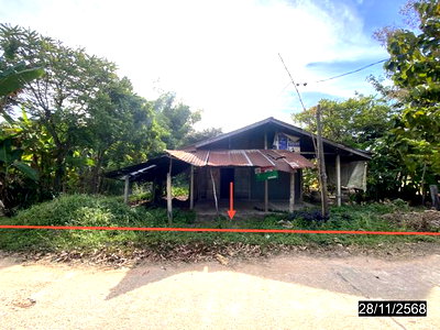 บ้านเดี่ยว กาฬสินธุ์ : บ้านเดี่ยว 118 ตร.วา หนองกุงศรี กาฬสินธุ์ 518,000