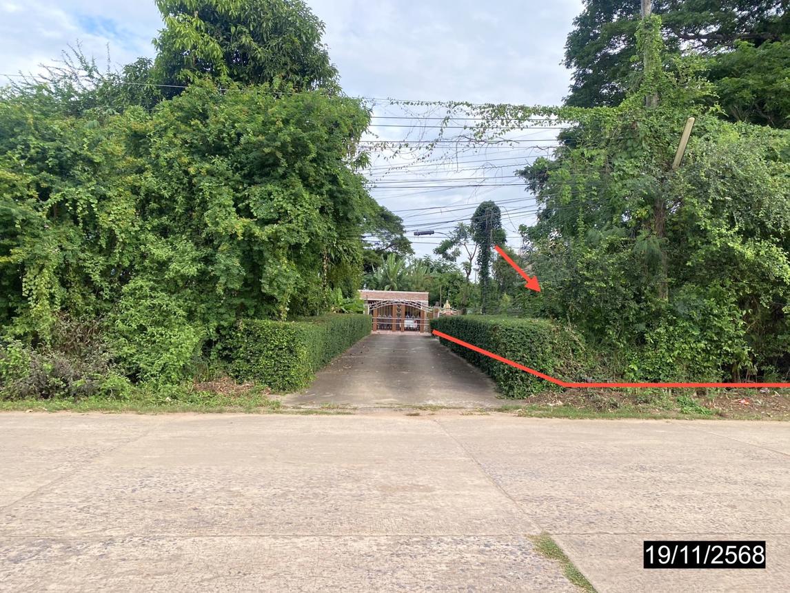 รูป บ้านเดี่ยว 14725.3 ตร.วา เมืองกาฬสินธุ์ กาฬสินธุ์ 28.4M - รูปที่ 20/38