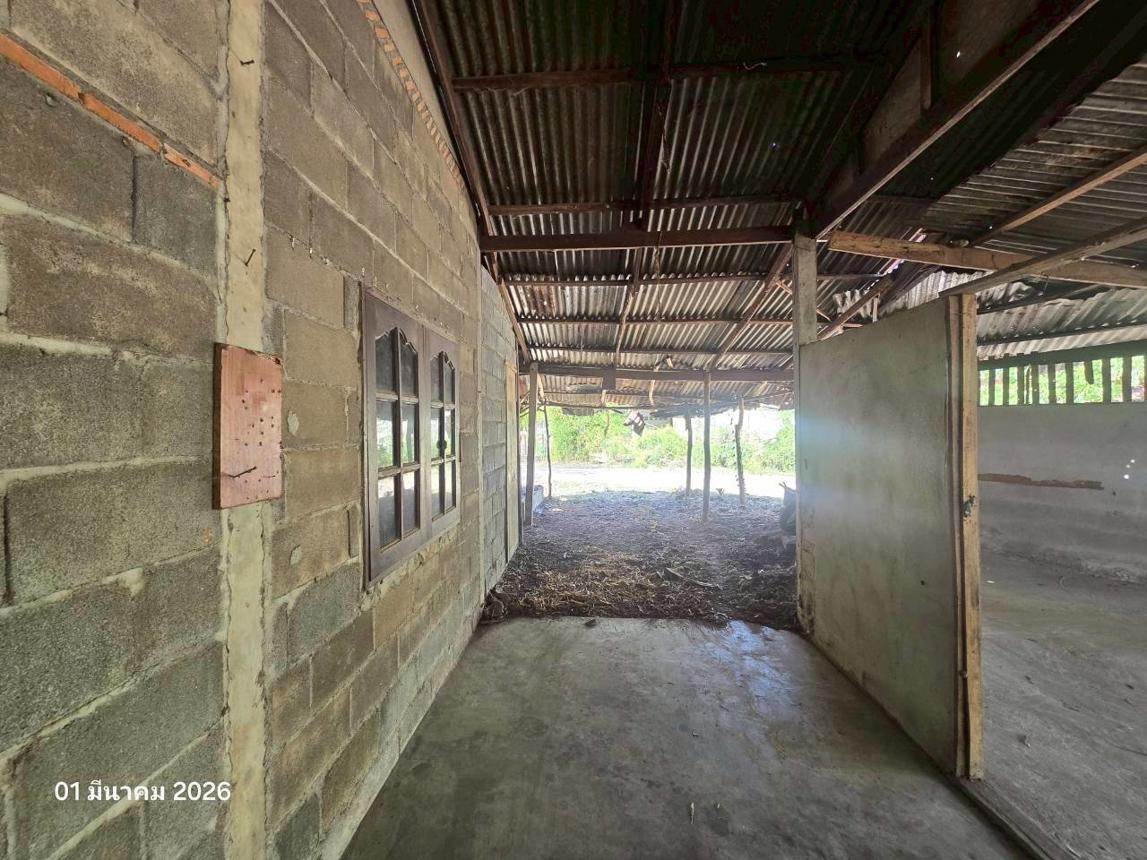 รูป บ้านเดี่ยว 135 ตร.วา หันคา ชัยนาท 553,000 - รูปที่ 16/30