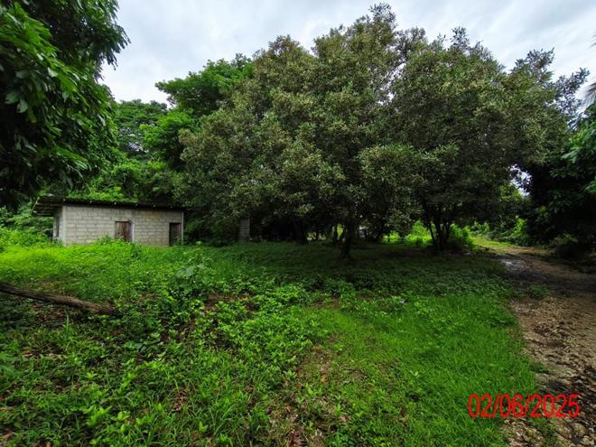 รูป บ้านเดี่ยว 642.3 ตร.วา เมืองลำปาง ลำปาง 2M - รูปที่ 9/24