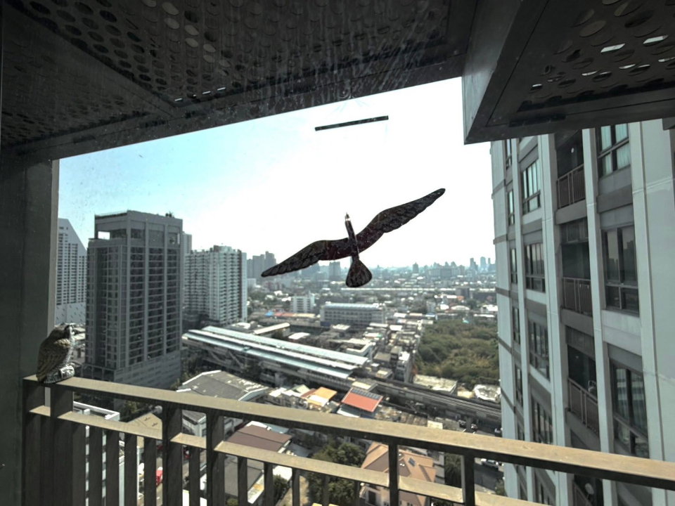 picture The Signature by URBANO - 9/10