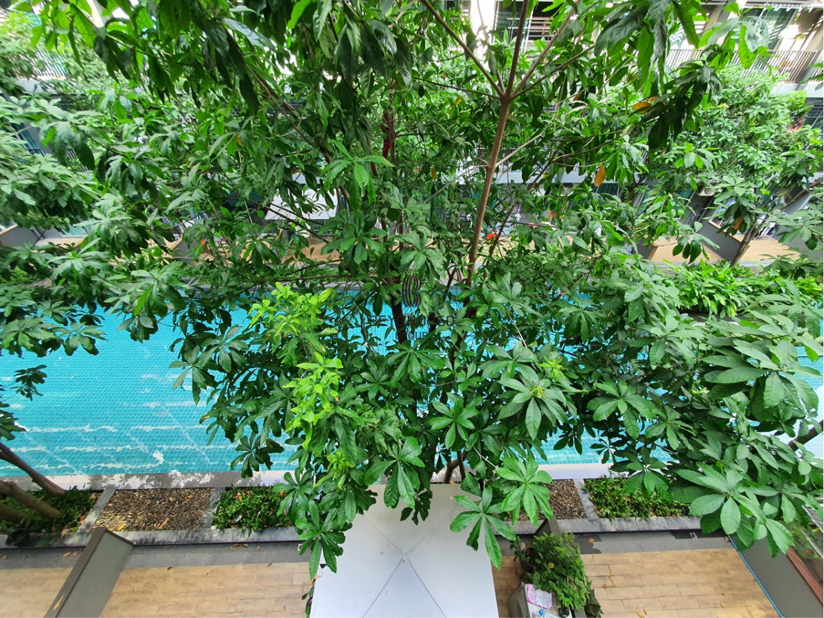 รูป เอ สเปซ มี สุขุมวิท 77 🌟PN-00005152🌟 - รูปที่ 10/12