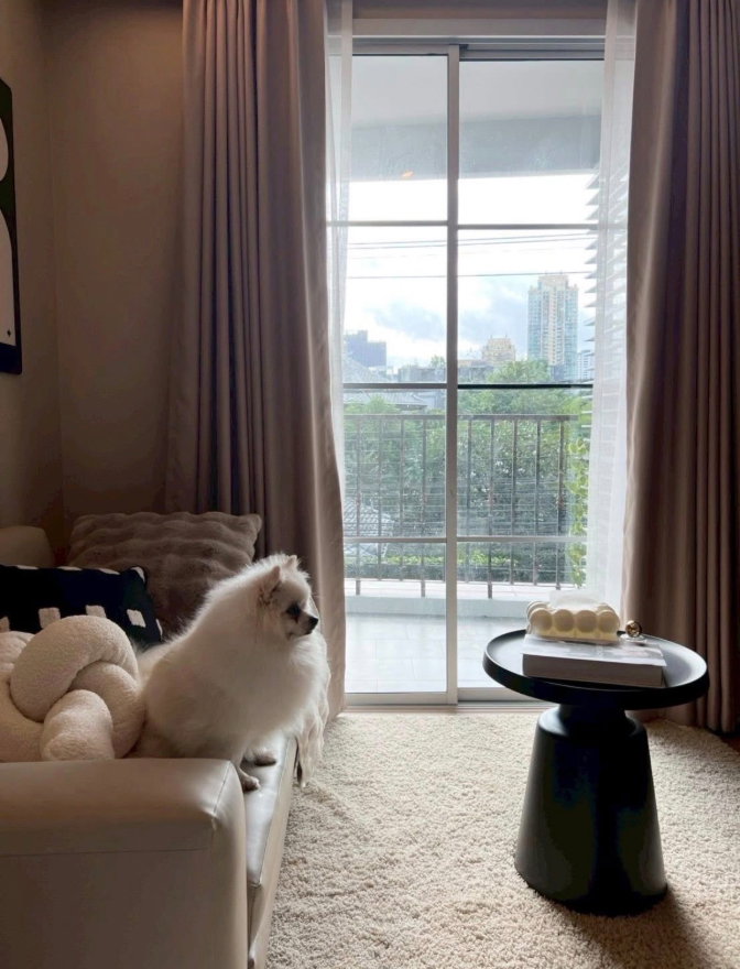 picture 🐶🐱 For Rent: Maestro 39 Sukhumvit 39 (Pet-Friendly) - 14/14