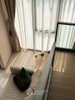 listing thumbnail image 21