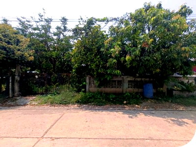 บ้านเดี่ยว นครราชสีมา (โคราช) : BP00284 ขายบ้านเดี่ยว ตำบล ประทาย อำเภอ ประทาย จังหวัด นครราชสีมา