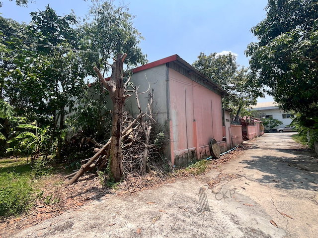 รูป ขาย บ้านเดี่ยว ที่ตอบโจทย์การใช้ชีวิตเรียบง่ายแต่ครบความสะดวก ใกล้ MRT บางพลู เซ็นทรัล เวสต์เกต อิเกีย บางใหญ่ และโรงพยาบาลชั้นนำหลายแห่ง | รหัส 93313 - รูปที่ 8/9