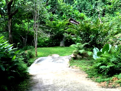 ขายที่ดิน : ที่ดินสำหรับปล่อยขาย 16,000 ตารางเมตร แถว ใน ห้วยแก้ว (ID 2762438)