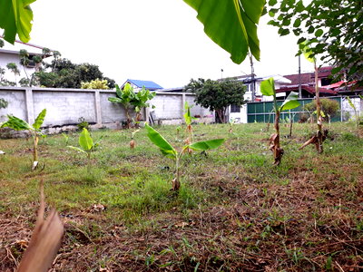 ที่ดิน ถนนรามอินทรา : ขายที่ดินเปล่า ซอยรามอินทรา 44 กรุงเทพมหานคร