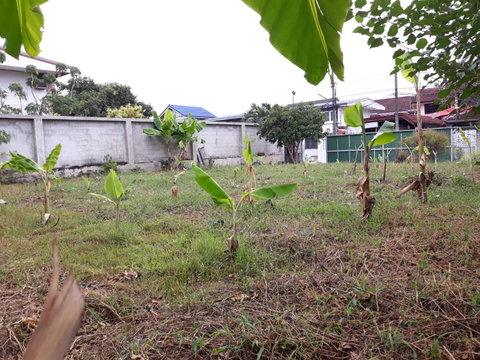 ขายที่ดินเปล่า ซอยรามอินทรา 44 กรุงเทพมหานคร