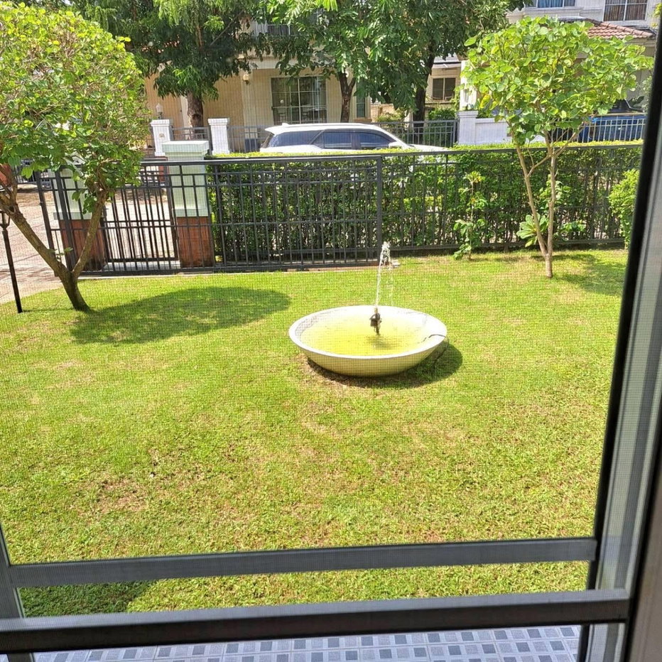 picture code : H155 Mantana Onnut - Wongwaen - 14/24