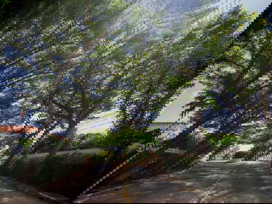 รูป ST500/ให้เช่า The Urban Sathorn ทาวน์โฮมรีโนเวทใหม่สไตล์บ้านเดี่ยว พร้อมสวนส่วนตัว ทำเลศักยภาพใกล้ BTS บางหว้า - รูปที่ 22/27