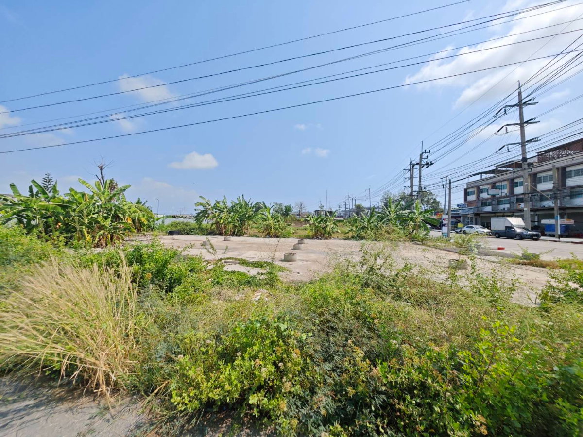 รูป เสนอให้เช่าดิน(สามารถเช่าแบบครึ่งแปลงได้) - รูปที่ 5/6