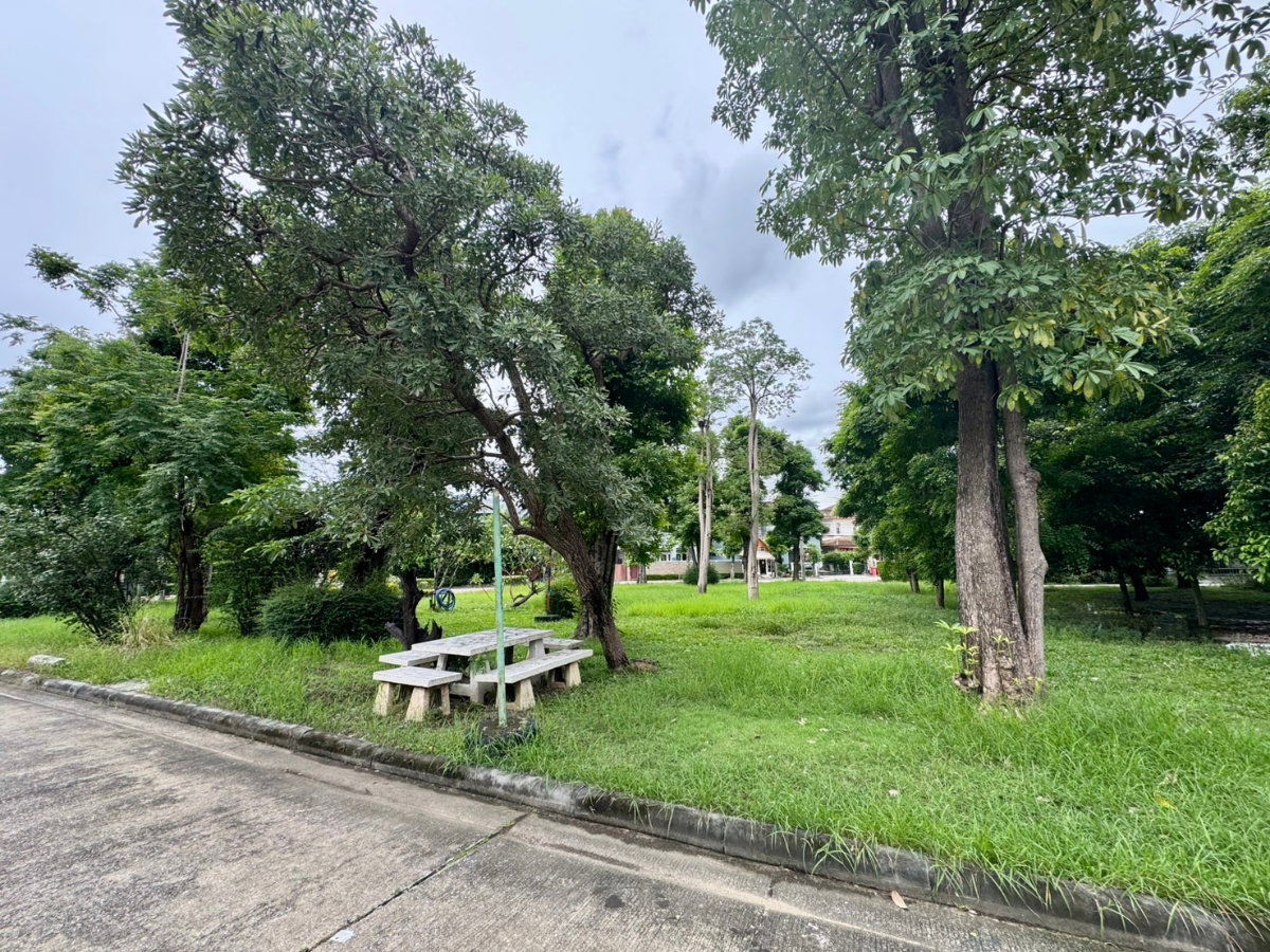 รูป ขายบ้านเดี่ยว หมู่บ้านลลิลกรีนวิลล์ อ่อนนุช-พระราม 9 เนื้อที่ 75 ตรว. 9.9 ล้าน - รูปที่ 4/7