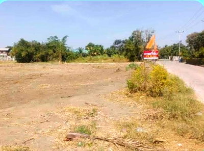 ขายที่ดิน : ขายที่ดินเปล่า ทำเลดี ใกล้ชุมชน ไฟฟ้าประปาพร้อม