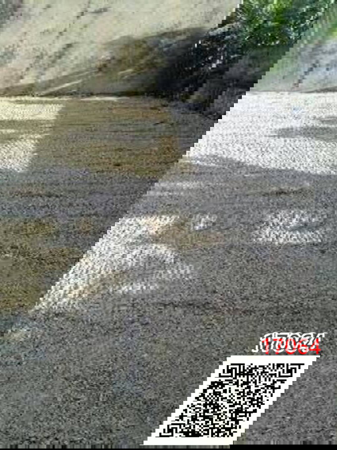 รูป เช่า ที่ดินแปลงสวยถมและพร้อมรั้วทำกำแพงแล้ว ซอยอ่อนนุช 20 เลดีมากใกล้ BTSอ่อนนุช - รูปที่ 3/4