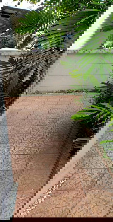 รูป ‼️ 𝐅𝐎𝐑 𝐑𝐄𝐍𝐓 💫 บ้านเดี่ยว ไลฟ์ บางกอก บูเลอวาร์ด วงแหวน - พระราม 9 🌟 ค่าเช่า 36,000 บาท/เดือน 🔒 รหัสทรัพย์ #HOME0426035 ☎️ แอดไลน์ @36condo - รูปที่ 16/18