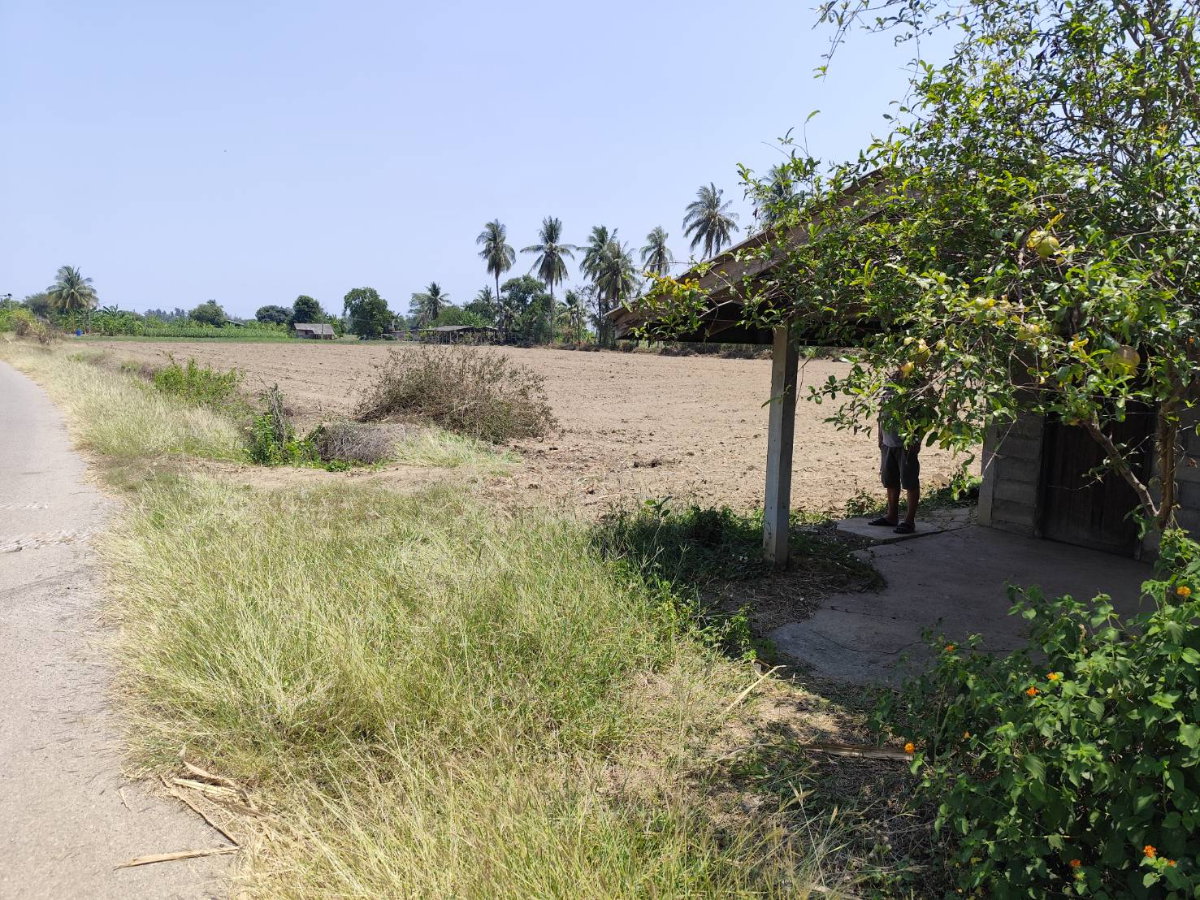 รูป ที่ดินเปล่า ที่ดินสี่เหลี่ยมผืนผ้า ติดคลองชลประทาน - รูปที่ 6/9