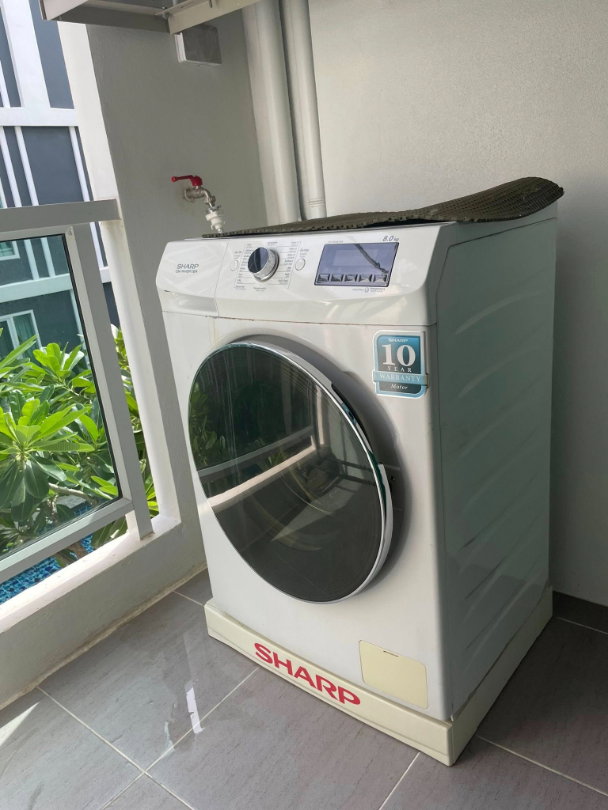 รูป ให้เช่าวันพลัสสวนดอก 8 วิว Salad fram+ คาเฟ่ - รูปที่ 11/16