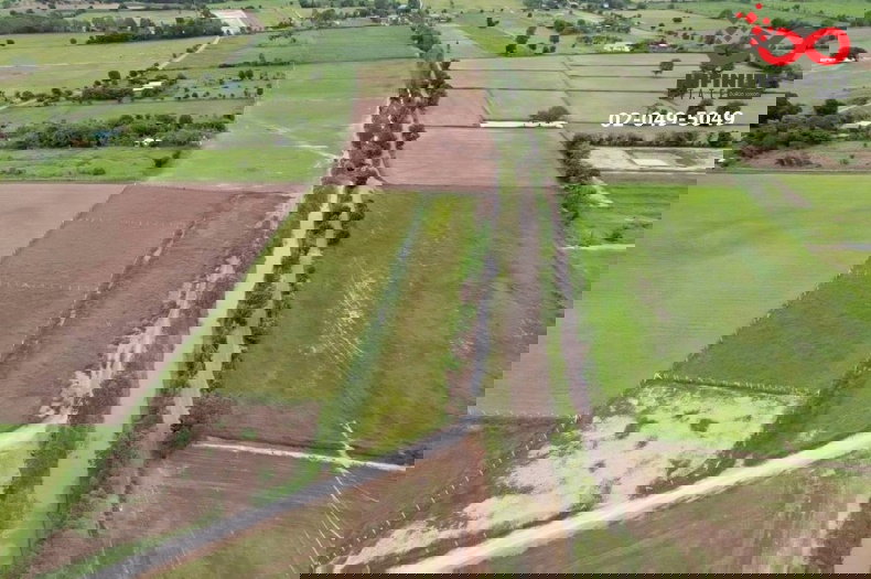 รูป ขายที่ดิน 400 ตารางวา อำเภอหนองหญ้าไซ สุพรรณบุรี - รูปที่ 1/5