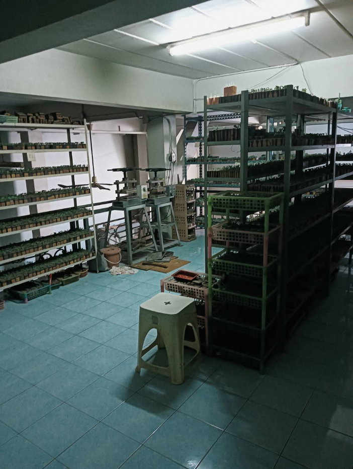 รูป ขายอาคารพาณิชย์ 64 ตร.วา 3.5 ชั้น พระราม 2 ซอยสะแกงาม 35/1 พื้นที่ใหญ่ต่อเติมใหม่ เหมาะทำธุรกิจ - รูปที่ 5/19